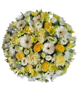 Posy  Yellow and White