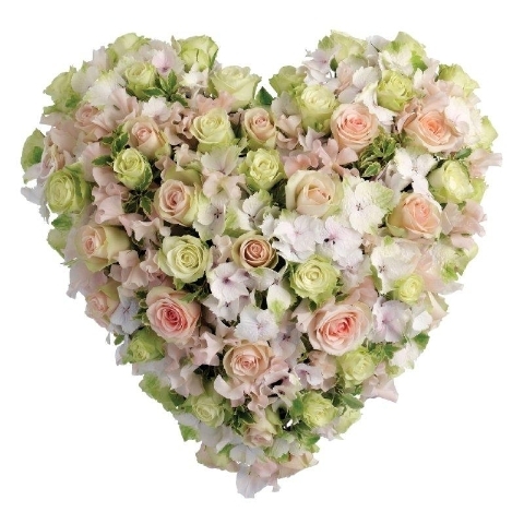 Hearts