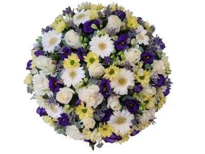 Posy Purple, Yellow and White