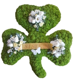 Shamrock*